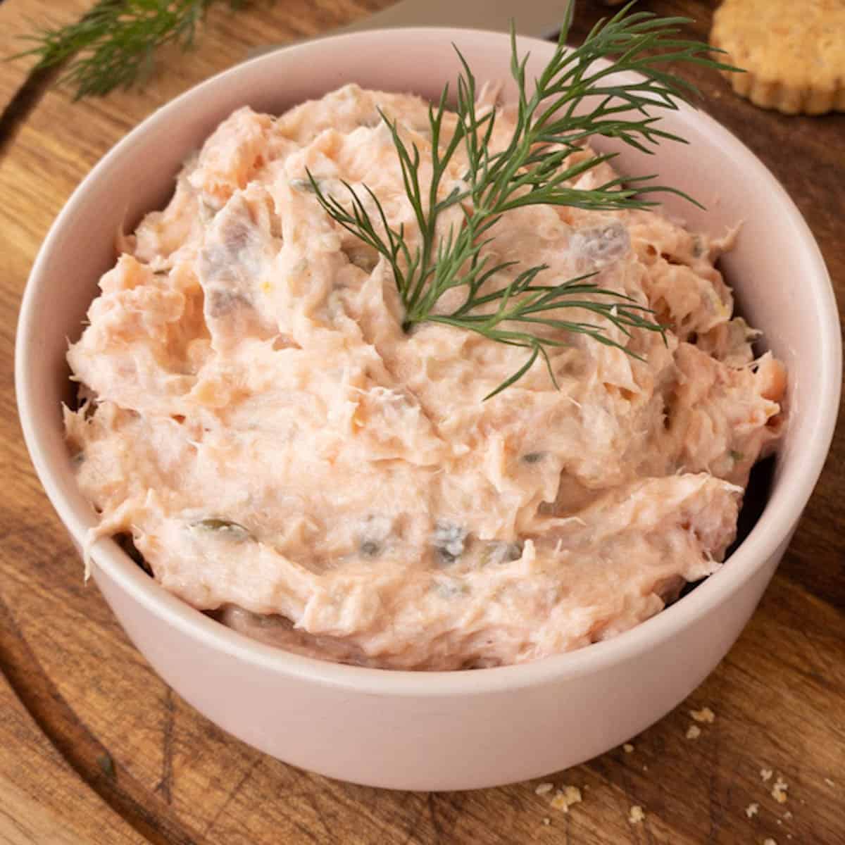 https://aisforappleau.com/wp-content/uploads/2020/10/hot-smoked-salmon-dip-1.jpg