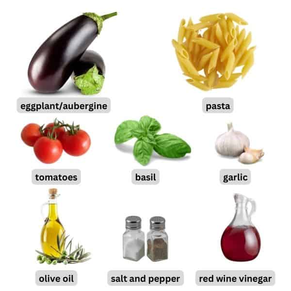 ingredients for pasta with eggplant