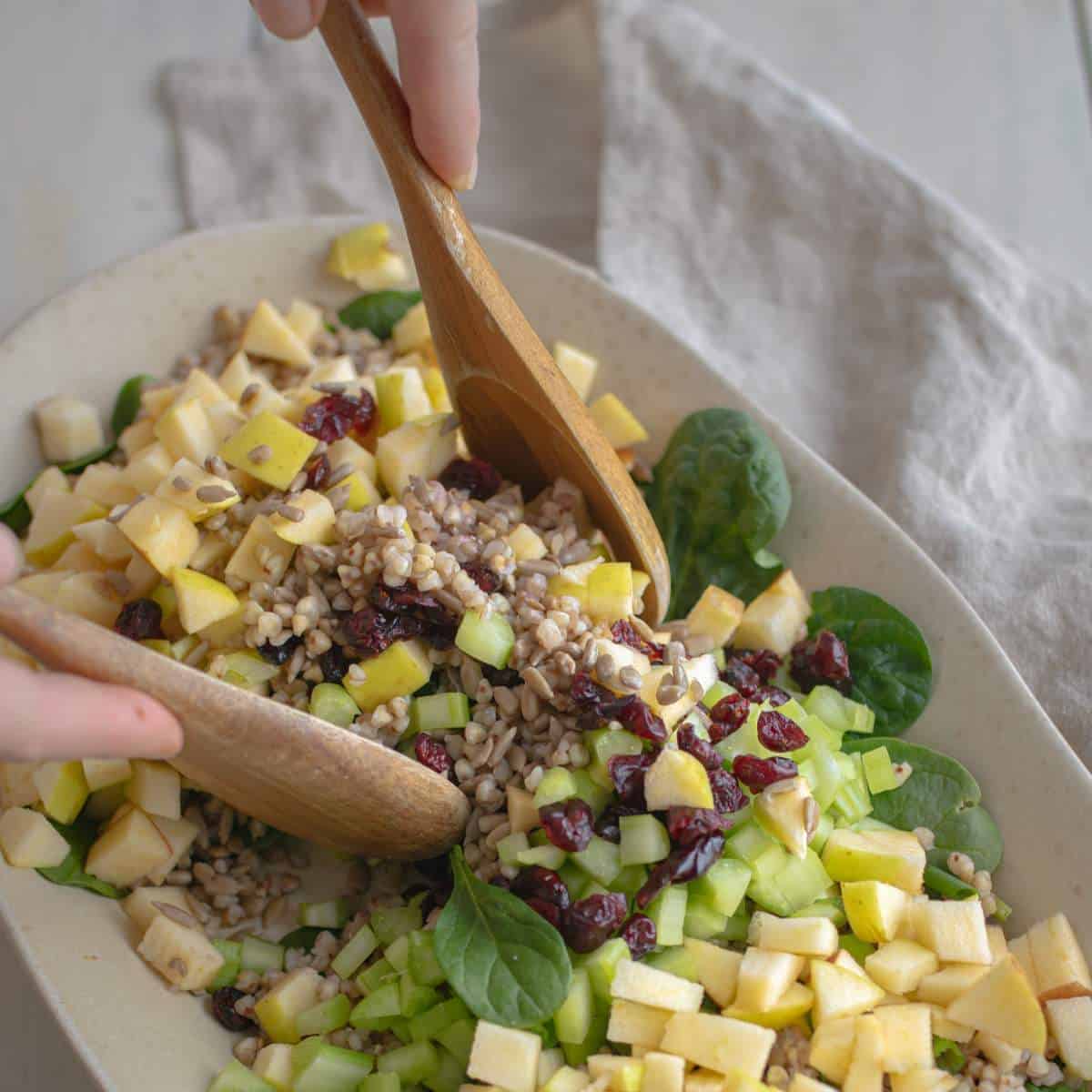 buckwheat salad with apples and cranberries