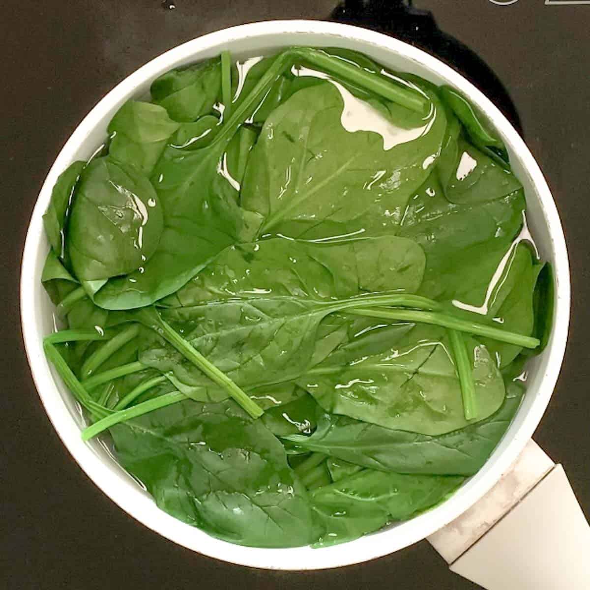 wilted english spinach in a saucepan