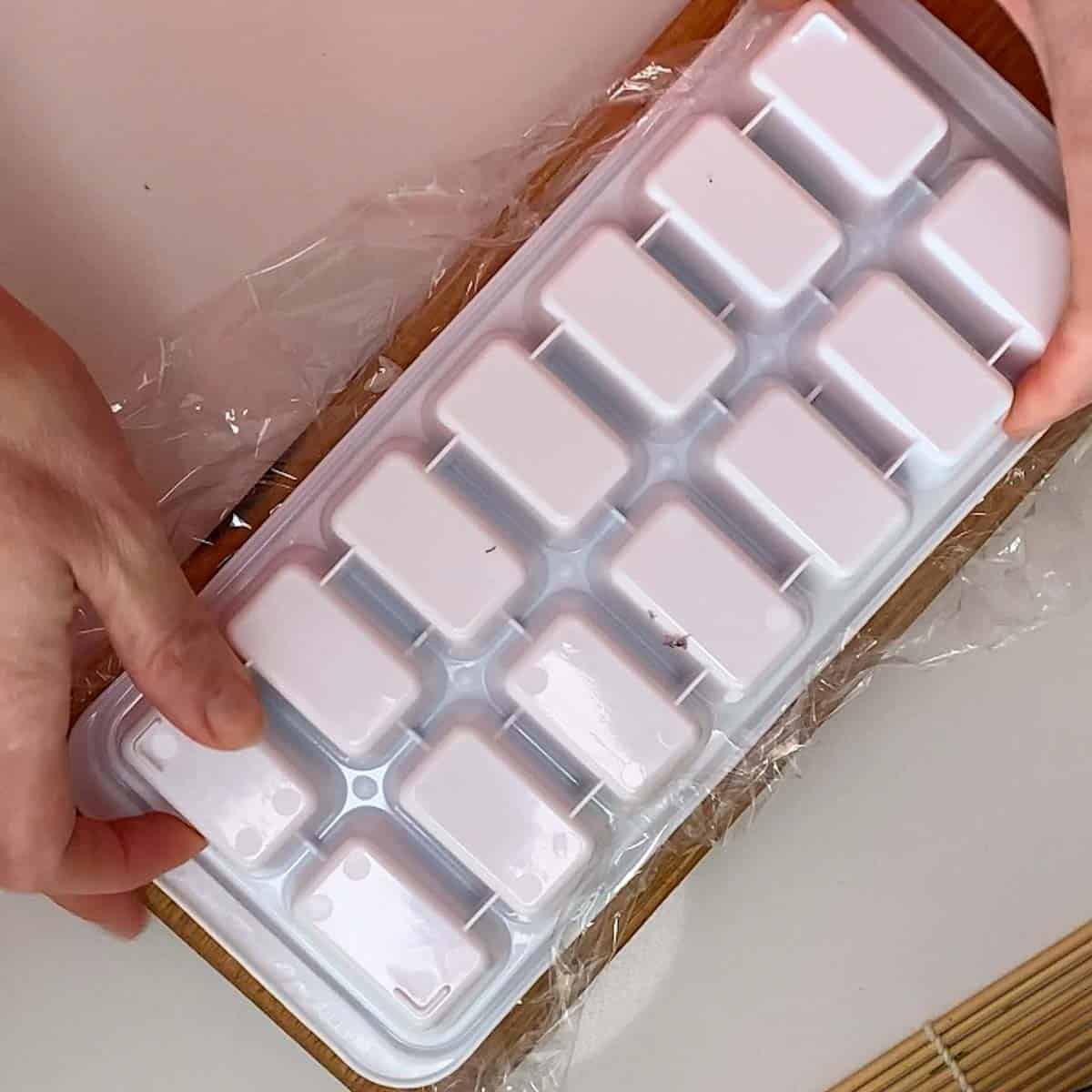 How to make salmon nigiri in an ice cube tray - A Is For Apple Au