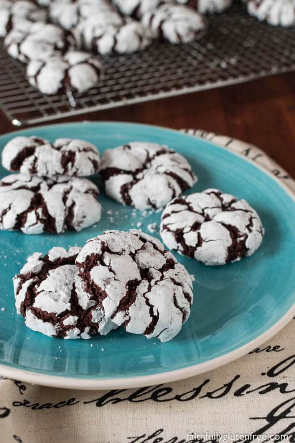 chocolate cookies covered in white sugar powder on a blue plate