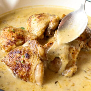 very creamy sauce and golden chicken thighs