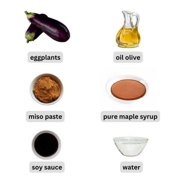 ingredients needed to make Japanese miso eggplant